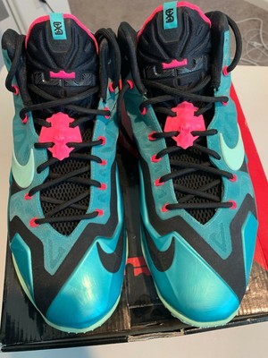 lebron 11 south beach