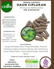 CAPSULE Physalis Peruviana Daun Ciplukan Natural Organic Fresh Herbs