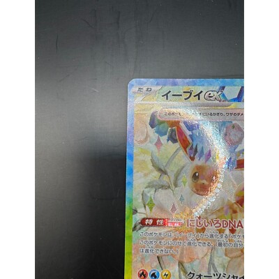 Pokemon Card Game/[SV8a] Terastal Festival ex]Eevee ex 223/187 SAR Foil | Buy from TCG Republic - Online Shop for Japanese Single Cards