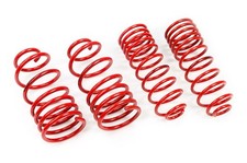 MTS TIEFERLEGUNGSFEDERN MINI PACEMAN (R61) 30/25 MM MTSXMM026 MIT GUTACHTEN MTS TIEFERLEGUNGSFEDERN MINI PACEMAN (R61) 30/25 MM MTSXMM026 MIT GUTACHTEN