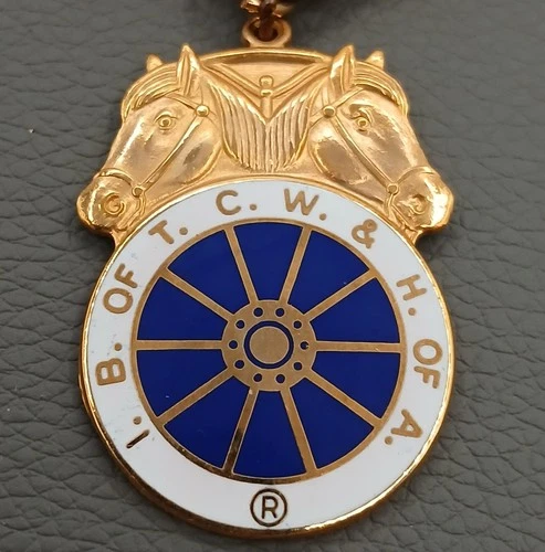 Teamsters Delegate Badge Keyring 6" Gold Yellow Ribbon 1986 Las Vegas Convention image 23