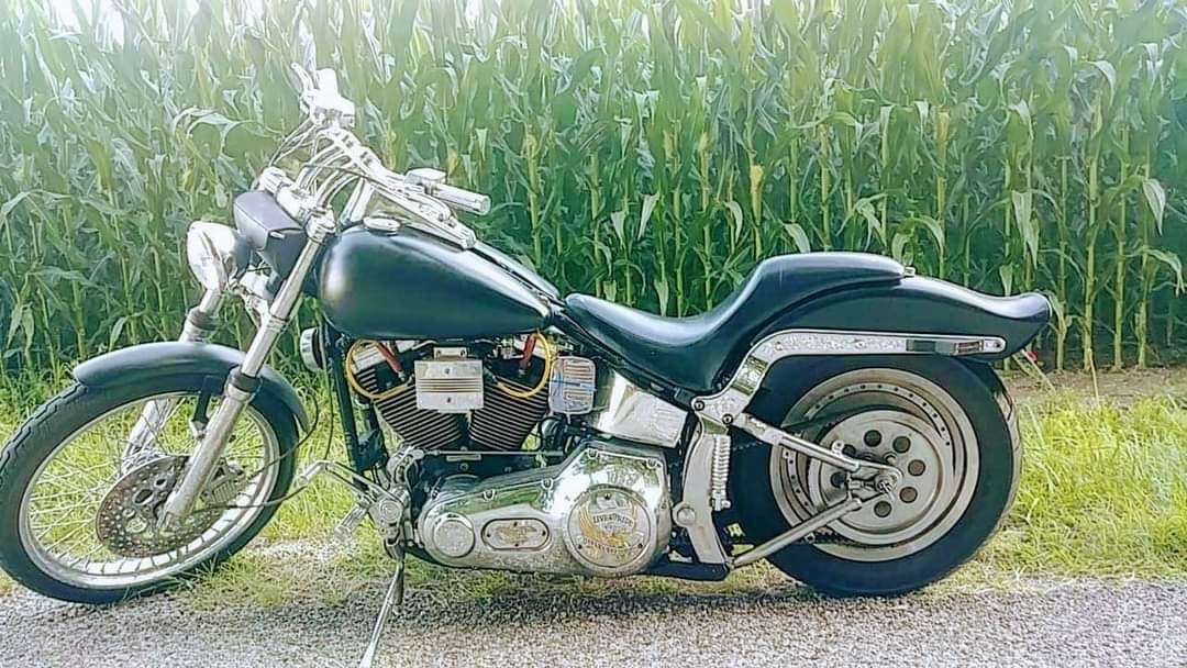 1995 Harley-Davidson Softail for sale in Anderson Indiana