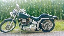 1995 Harley-Davidson Softail for Sale