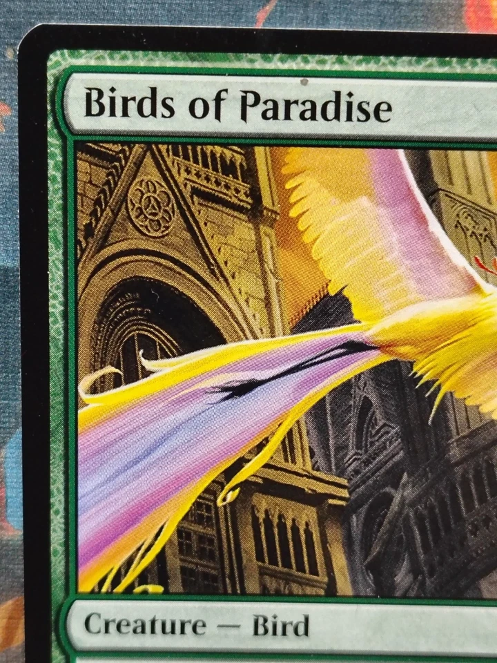 MTG Birds of Paradise - Conspiracy: Take the Crown 176/221. NM - Image 2 of 4