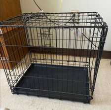 small medium puppy kitten dog cat cage crate dual open 2 doors in black boston