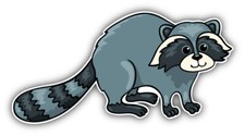 Raccoon Cartoon Car Bumper Sticker Decal ''SIZES''