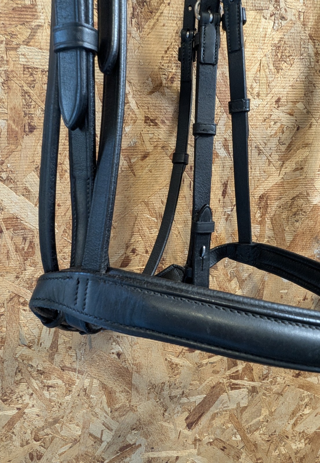 VESPUCCI Classic Padded Dressage Bridle $318