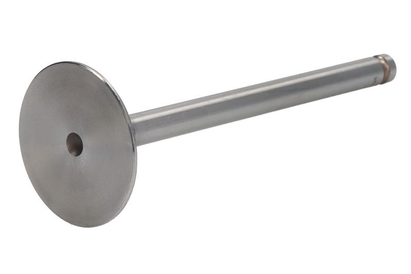 Fits VAPORMATIC VPA1060 Intake Valve VPA1060 Intake valve (38,95x7,9x114mm) fit