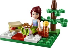 LEGO Friends Summer Picnic 30108 Building Set