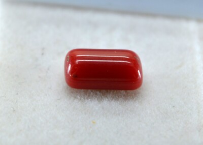 Certified Natural Italian orangish Red CORAL 4-7 Carats loose Gemstone