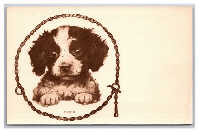 Vintage Postcard Fido Puppy Dog Spaniel Unposted Divided Back