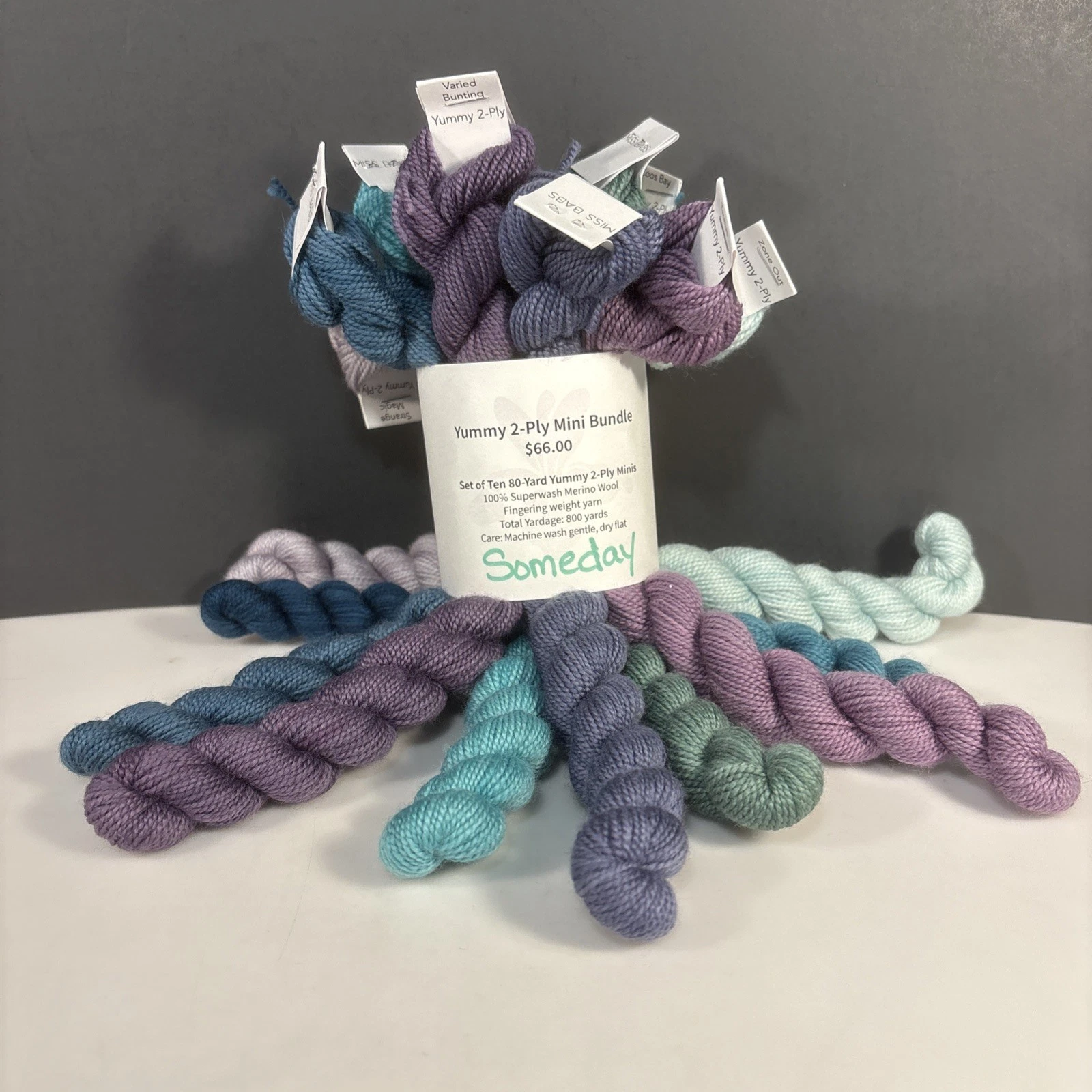 Miss Babs Yummy 2-Ply Mini Bundle SOMEDAY 100% Merino Wool Yarn Hand Dyed in USA image 1