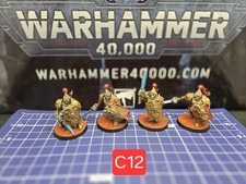 40k 30k Adeptus Custodes Custodian Guard x4 Pro Painted Sentinel Blade  Shield