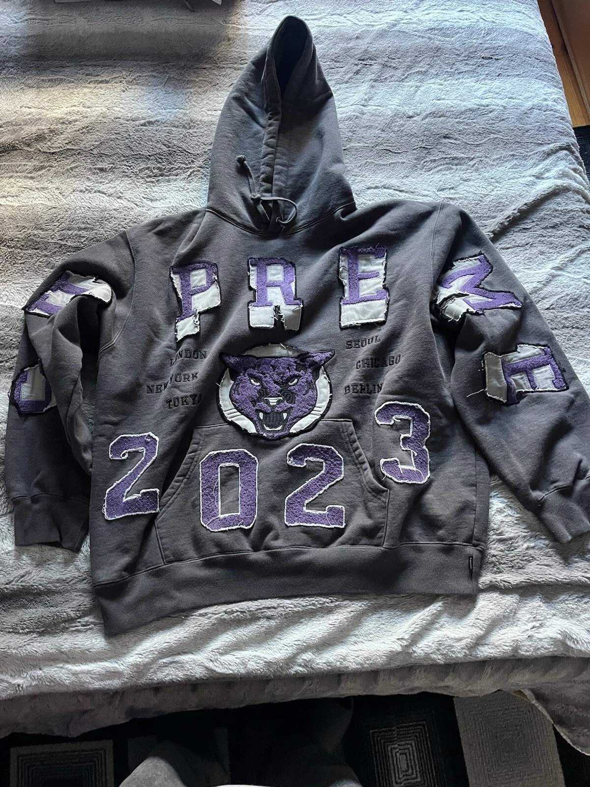 FW23 Supreme Washed Panther Hoodie