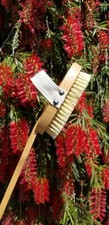 Sisal Dry Body Brush Removable Handle FSC Beechwood Agave Fibers Plastic Free Ec