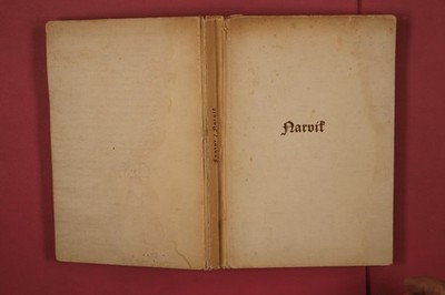 353362 Werner Funk NARVIK Junker und Dünnhaupt Verlag Sieg des Glaubens HC
