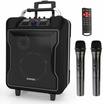 portable speaker with wireless mic