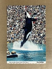 Postcard Sea World Shamu Killer Whale Orca Show San Diego CA Orlando FL Aurora