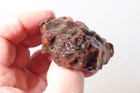 Argentine Condor Agate lapidary 3.1 oz. rough Lot N1 — photo 5