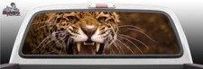 Growling Cheetah Cat Angry Perforated Rear Window Graphic Decal Suv Truck Car