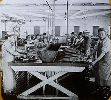 Butchering Salmon in Canning Factory in Astoria OREGON Magic Lantern Glass Slide