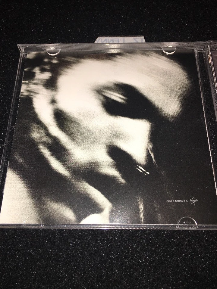 LENNY KRAVITZ • Greatest Hits | Are You Gonna Go My Way | 5 | Mama Said Foto 3 de 4