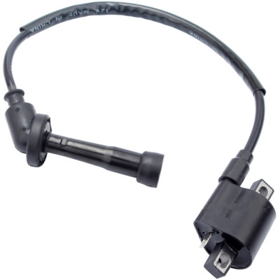 Zündspule für Yamaha Grizzly 660 YFM660 2002 2003 2004 2005 2006 2007 2008 ATV