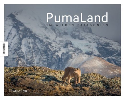 Thumbnail - Pumaland Von Ingo Arndt