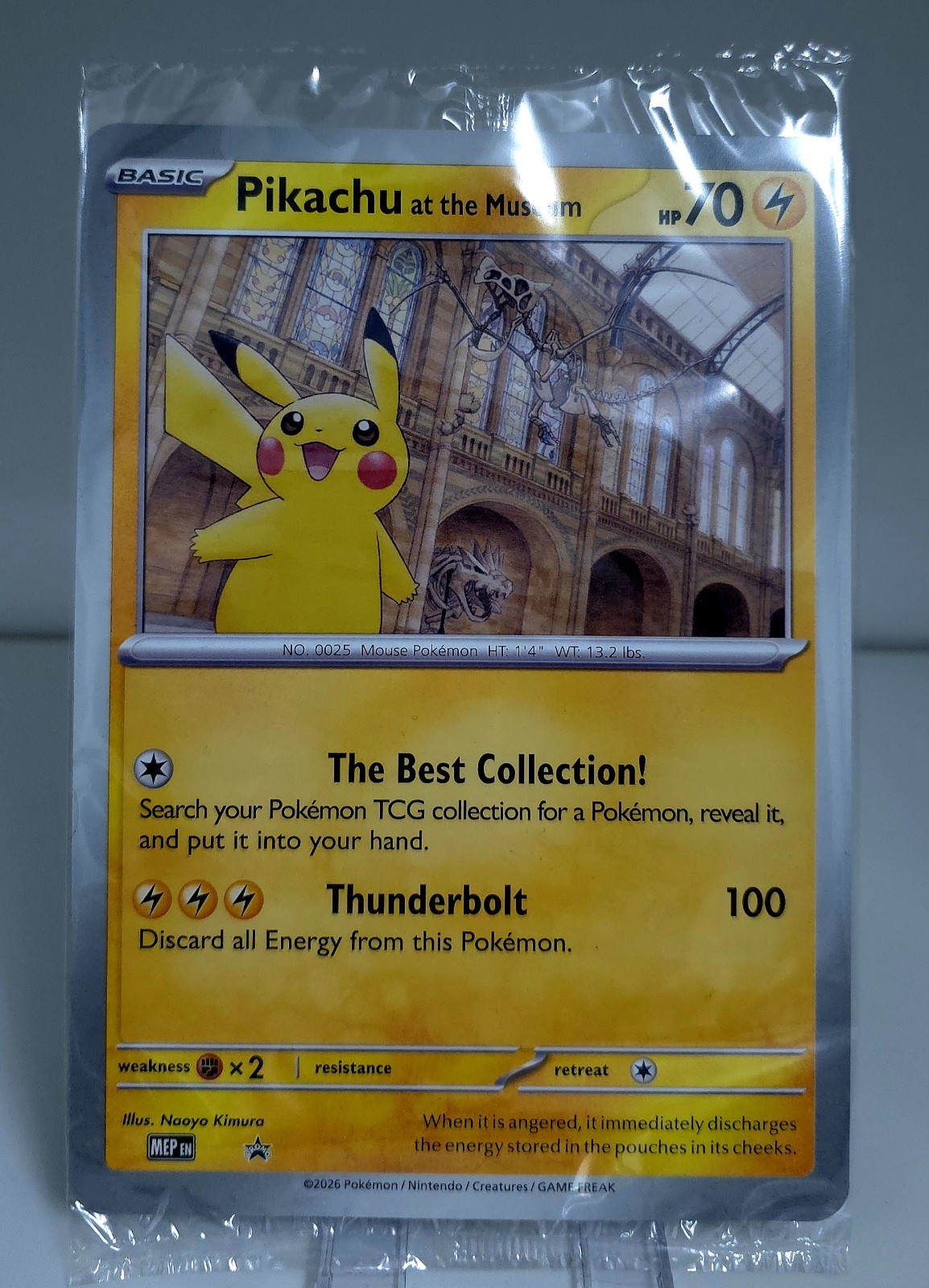 Pokémon TCG Pikachu At The Museum Promo Card Sealed New