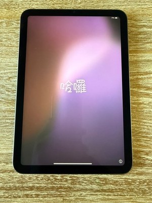 Apple iPad Mini Wi-Fi 64Gb   Model A2567   Clean, Tested