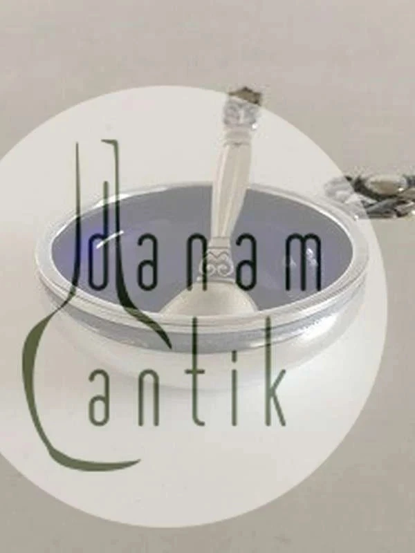 Salero Georg Jensen plata esterlina bellota nº 62 con cuchara de sal Foto 4 de 4