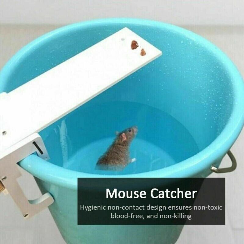 New Mouse Trap Catch Rat Trap Auto Catch Walk The Plank Humane
