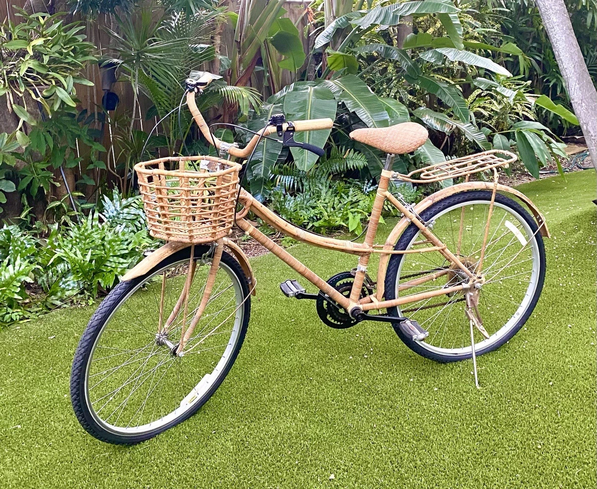 Bamboo bike for hotsell sale ebay