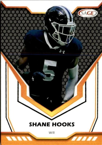 2024 SAGE HIT Low Series Shane Hooks #69