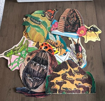 Vintage Trend Die-Cut Insects School Bulletin Board Set - 14 pieces Laminated