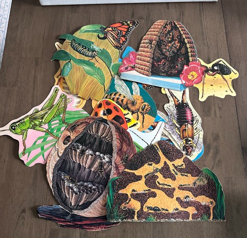 Vintage Trend Die-Cut Insects School Bulletin Board Set - 14 pieces Laminated