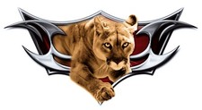 1 Rv Trailer Puma Front Cap Decal Graphic -2900