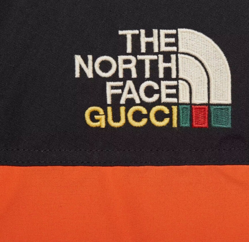 Men's North Face x Gucci Techno Ripstop 700 Down Jacket image 6