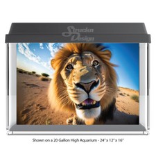 Funny Lion Desert Cat Polyester Fish Tank Glass Backdrop Aquarium Background