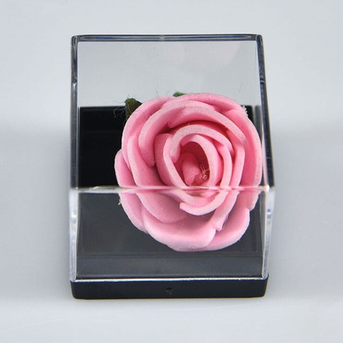 Durable Mineral Display Box Portable Square Display Case Jewelry Organizer 12pcs - Picture 6 of 12