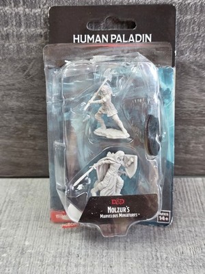 Dungeons & Dragon D&D Nolzur's Marvelous Miniatures Human Paladin 90220 g6.1