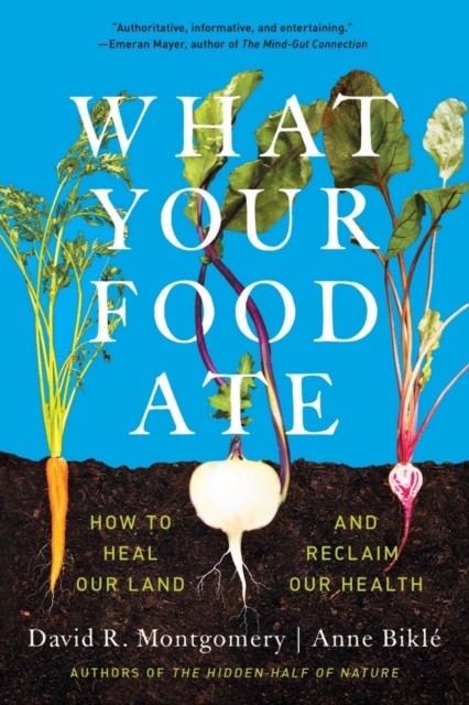 What Your Food Ate: How to Restore Our Land and Reclaim Our Health - Image 3
