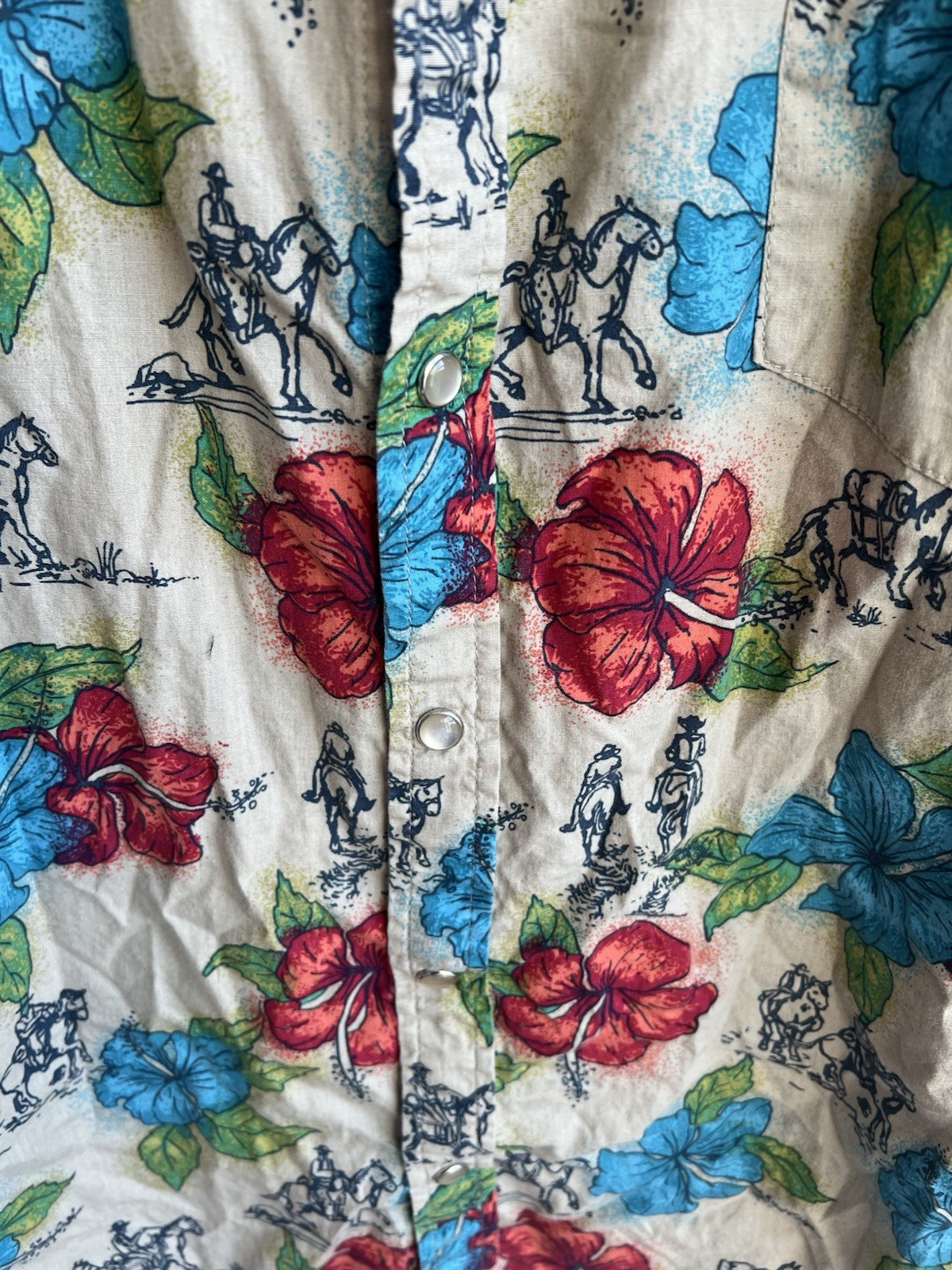 Picture 6 of 17