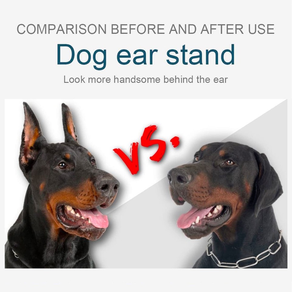 ziyue Doberman Dog Ear Posting Kit, Dog Ear Stand Up Support Tool, Dog