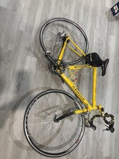 Pinarello for sale 