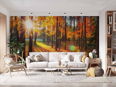 3D Fall Forest Sunbeam Self-adhesive Removable Wallpaper Murals Wall 3