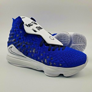 lebron uninterrupted shoes