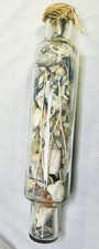 Vintage Clear Glass Rolling Pin 14"X 3&rdquo;~ Filled w/ Ocean Shells Beach Decor