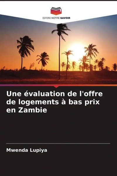 Mwenda Lupiya | Une éValuation De L'offre De Logements à Bas Prix En Zambie-image