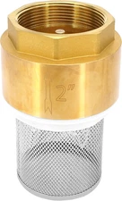 2 Inch BSP Check Foot Valve Strainer for Water Pump, Irrigation & Industrial Pip